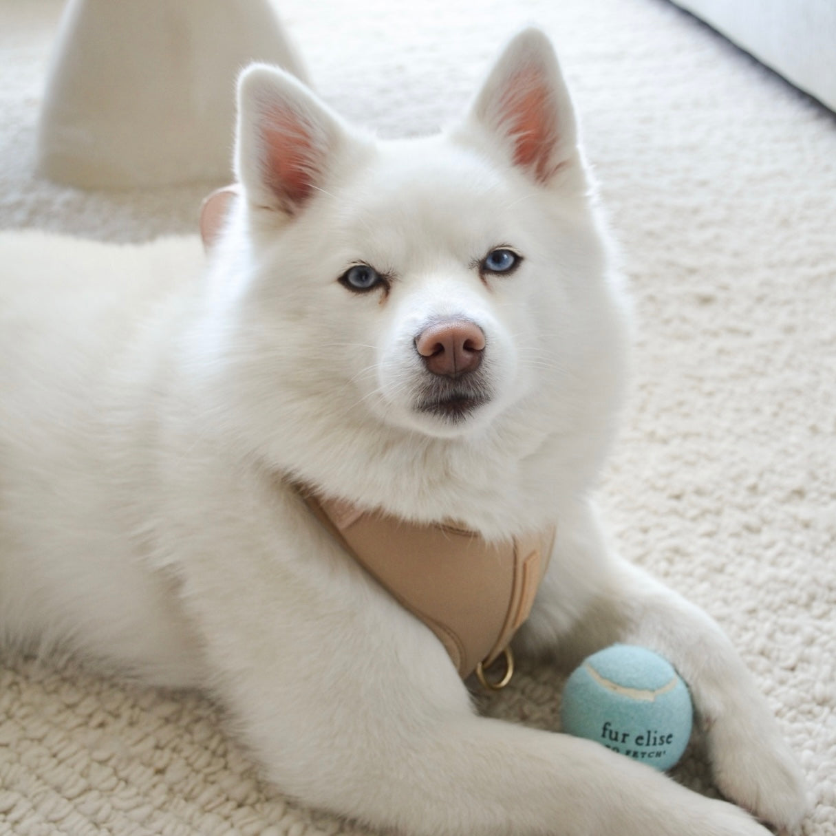 Fur Elise So Fetch! Tennis Ball - Cloud