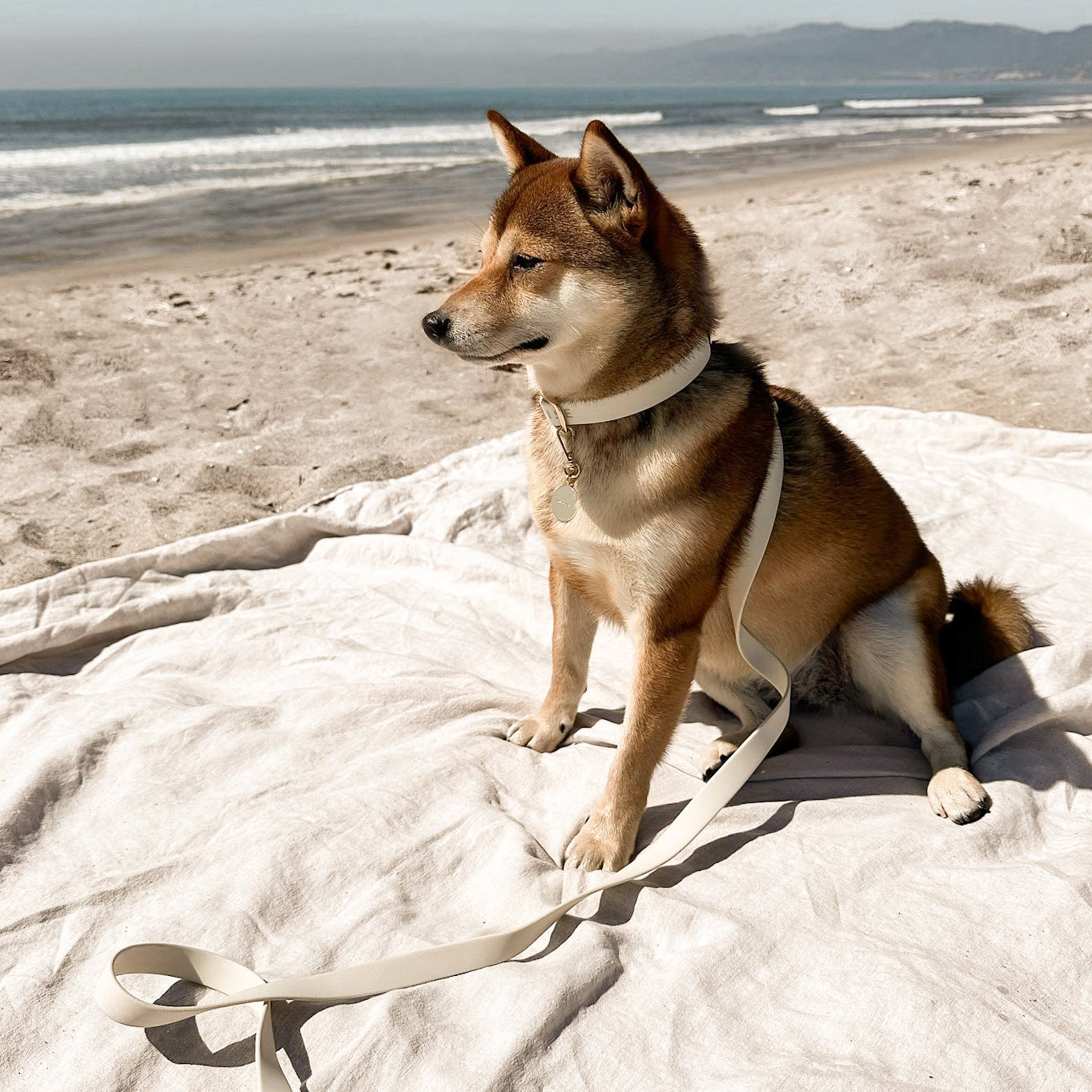 Fur Elise Leash - Bone