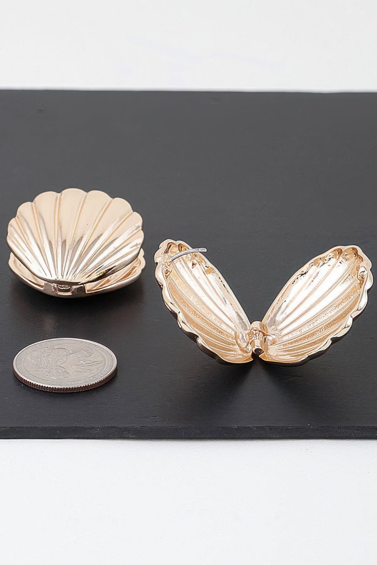 Modern Clam Shell Earrings