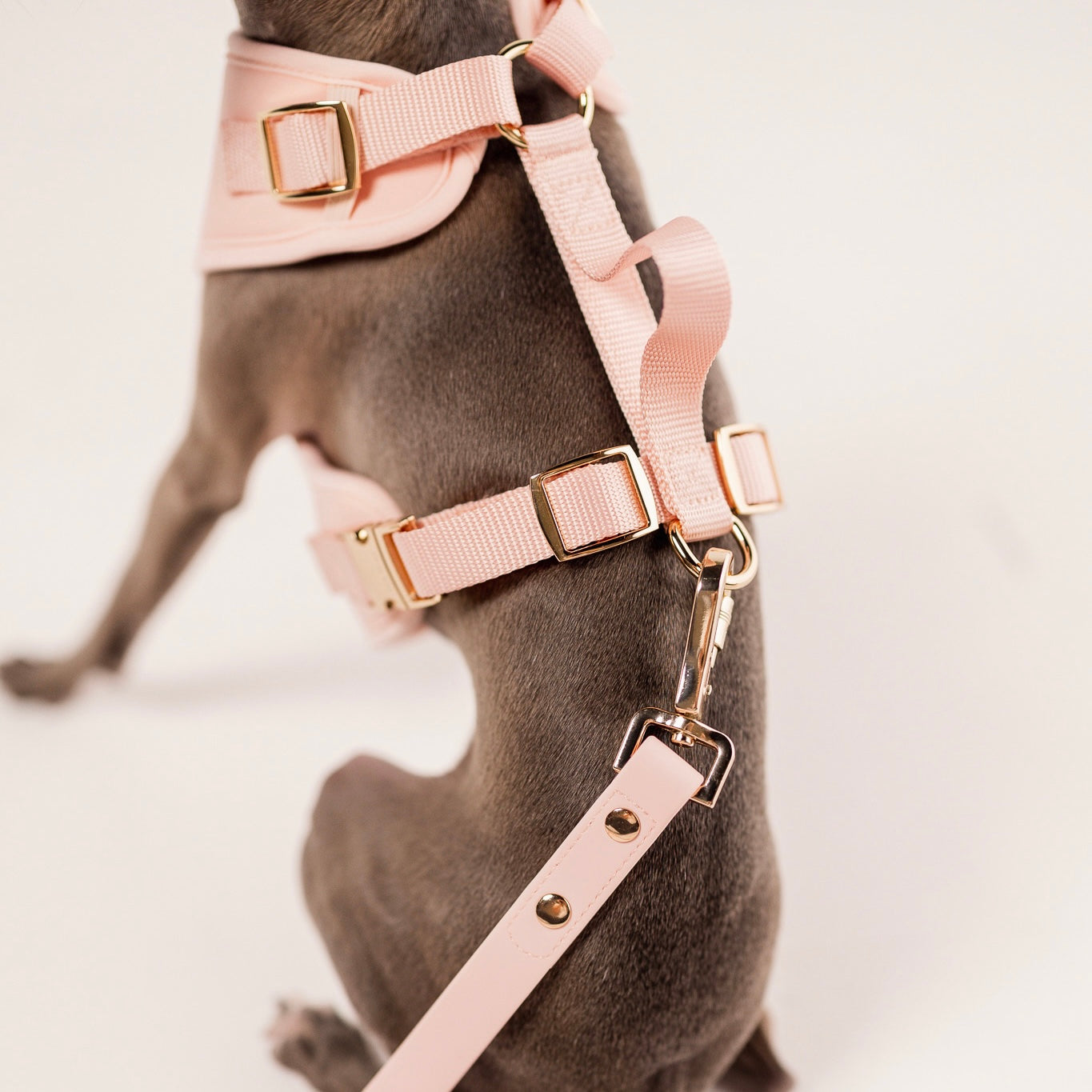Fur Elise The Essentials Walk Set - Rose