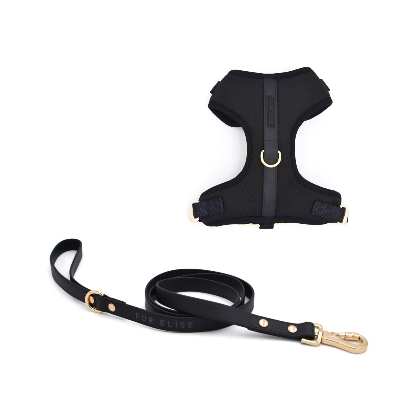 Fur Elise Harness & Leash Set - Noir
