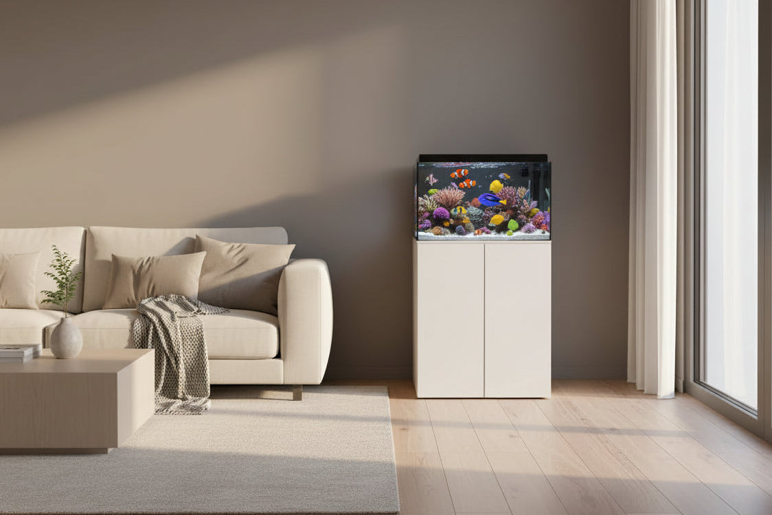 Reef Ready 35-Gallon AIO Reef Tank System