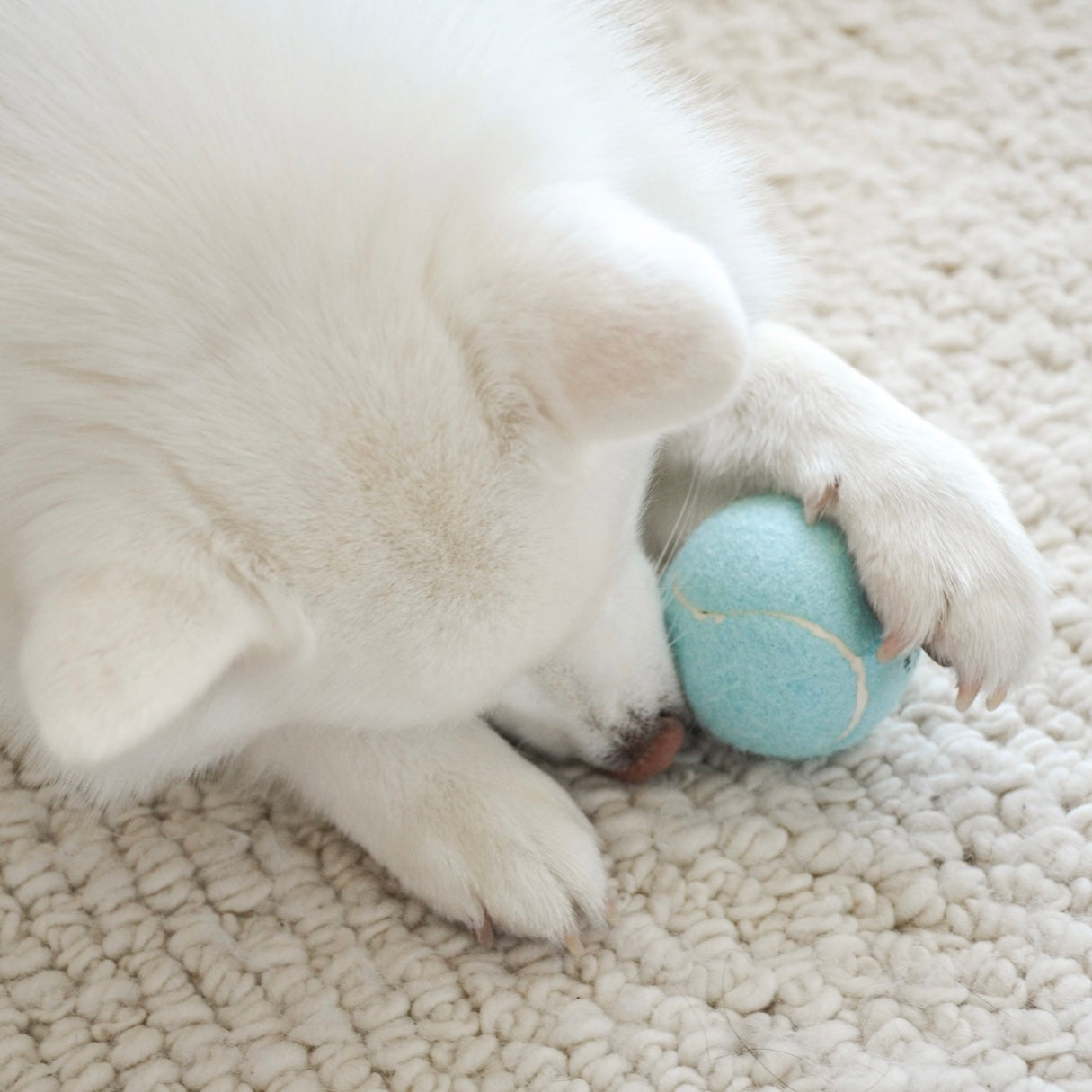 Fur Elise So Fetch! Tennis Ball - Cloud