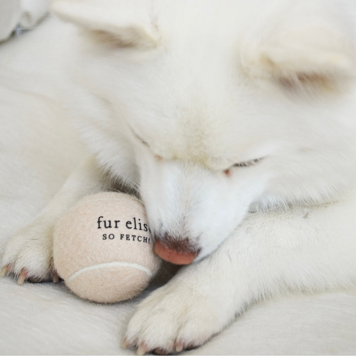 Fur Elise So Fetch! Tennis Ball - Latte