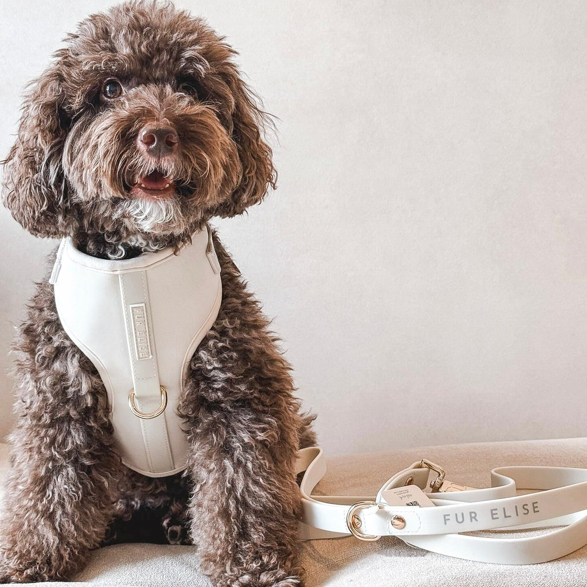 Fur Elise The Ultimate Walk Set - Bone