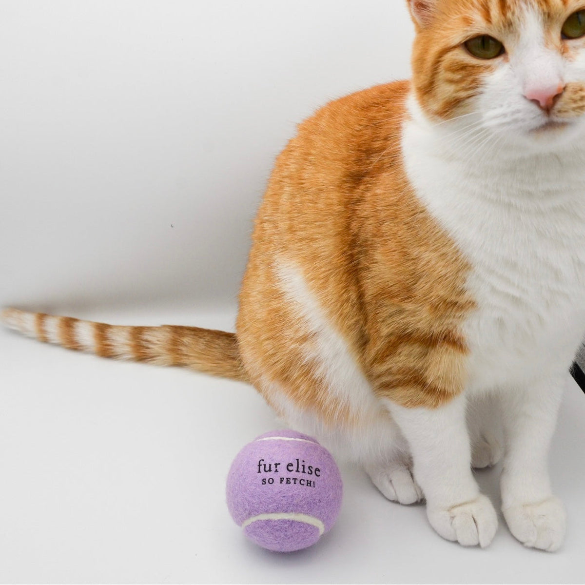 Fur Elise So Fetch! Tennis Ball - Lilac