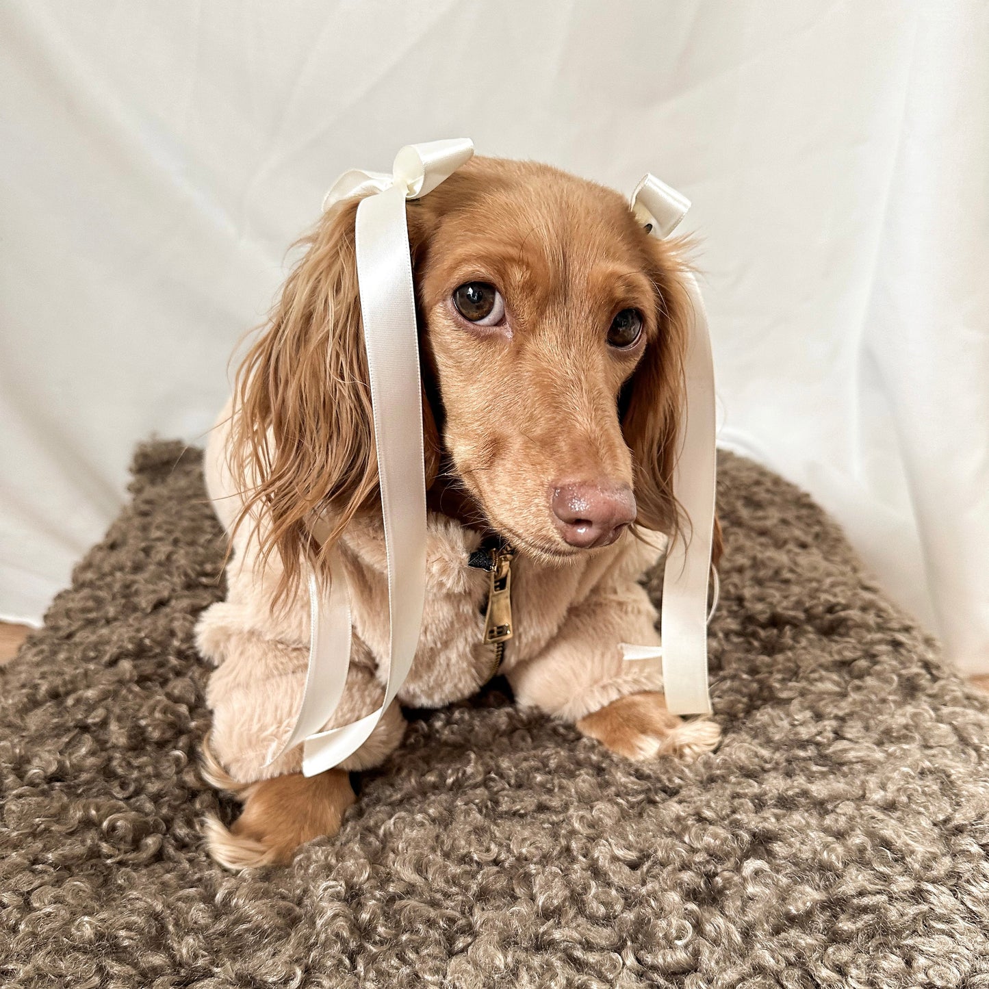 Fur Elise Furi Pet Coat - Sand