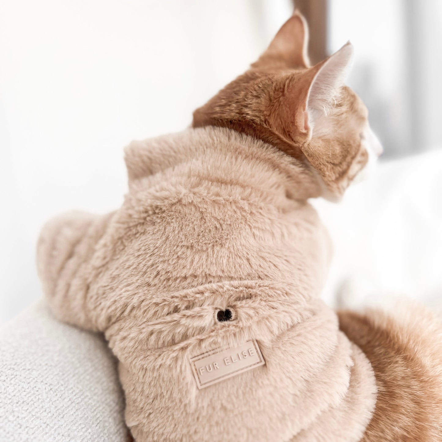 Fur Elise Furi Pet Coat - Sand