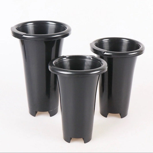 Orchid Pot Set of 4 | Zenvyra Collective