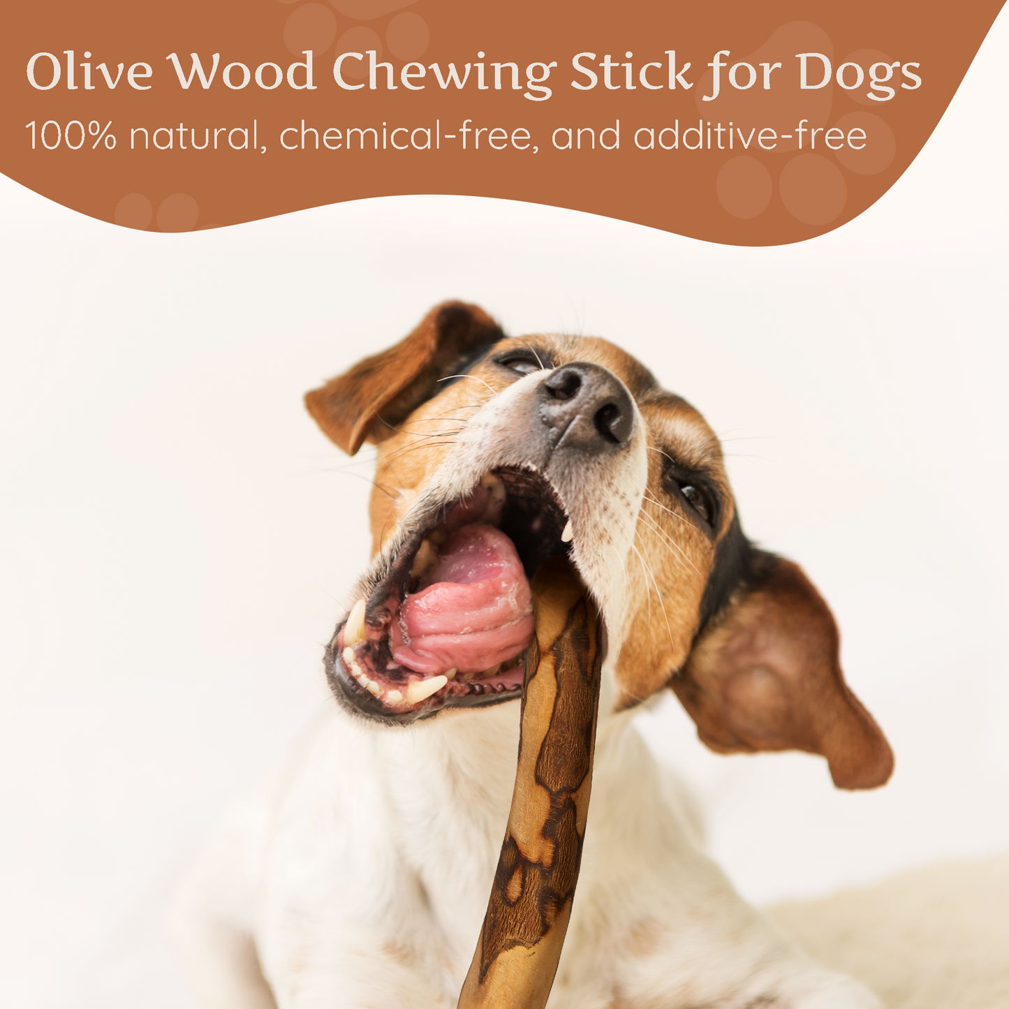 Wildfang Olive Wood Chew Stick for Dogs – Natural Dental Care