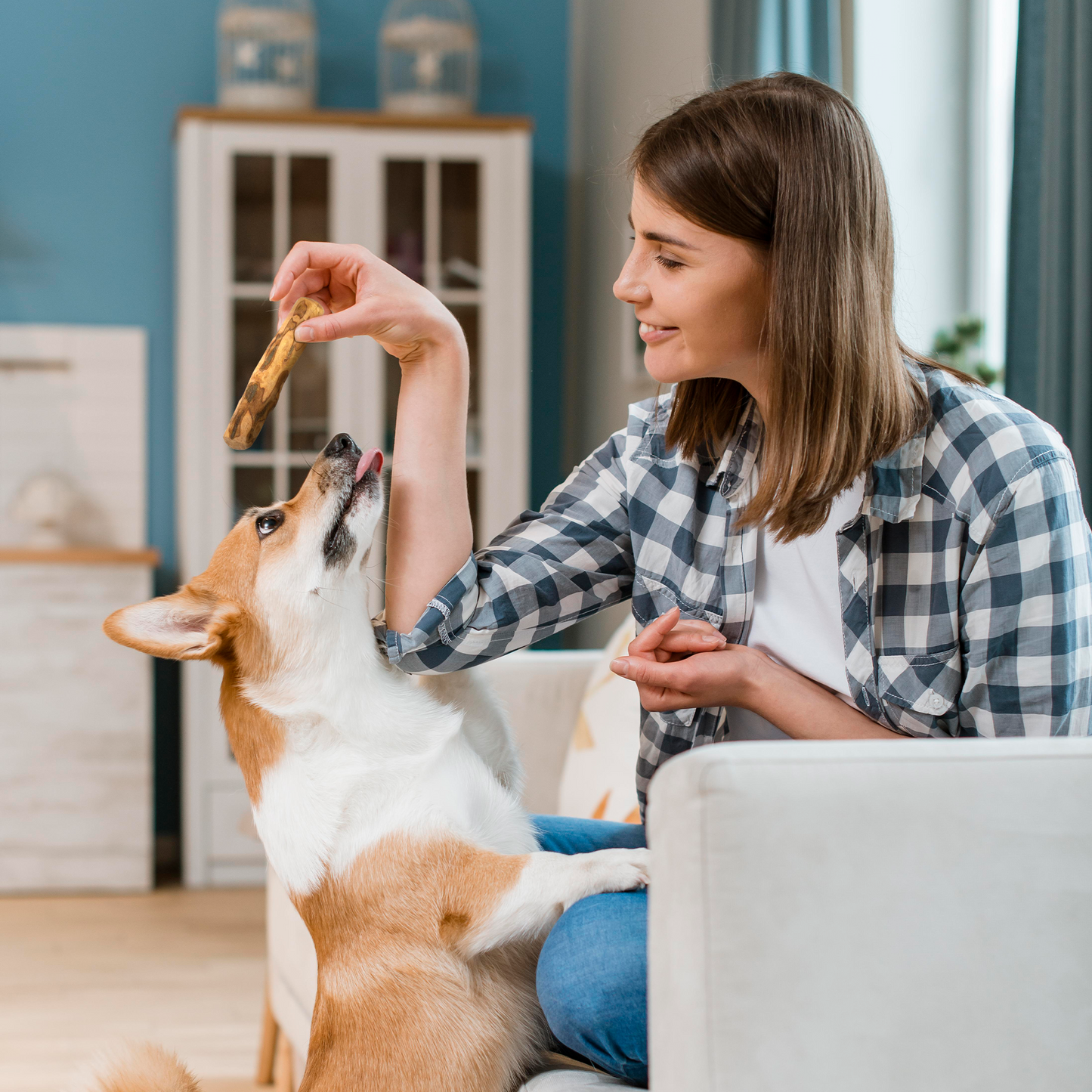 Wildfang Olive Wood Chew Stick for Dogs – Natural Dental Care